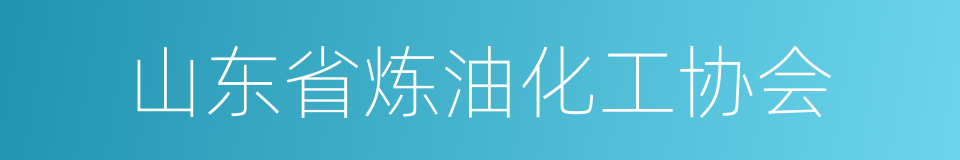 山东省炼油化工协会的同义词