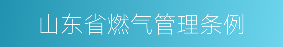 山东省燃气管理条例的同义词