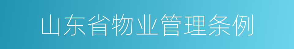 山东省物业管理条例的同义词