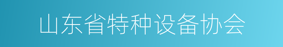 山东省特种设备协会的同义词