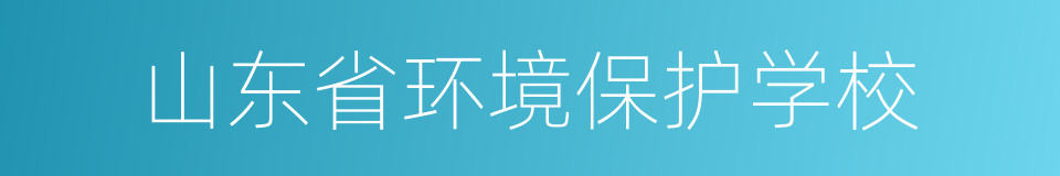 山东省环境保护学校的同义词