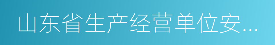 山东省生产经营单位安全生产主体责任规定的同义词