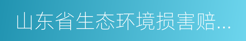 山东省生态环境损害赔偿资金管理办法的同义词