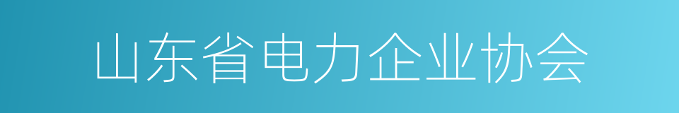 山东省电力企业协会的同义词