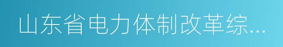 山东省电力体制改革综合试点方案的同义词