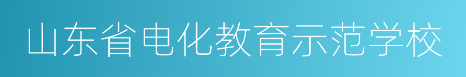 山东省电化教育示范学校的同义词