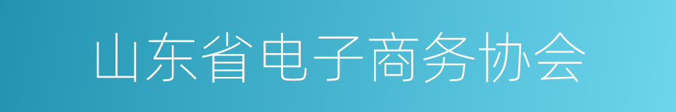 山东省电子商务协会的同义词