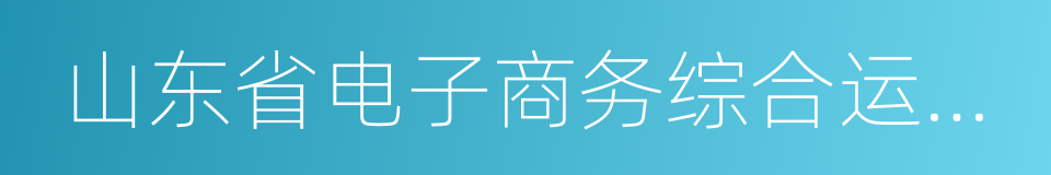 山东省电子商务综合运营管理有限公司的同义词