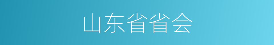 山东省省会的同义词