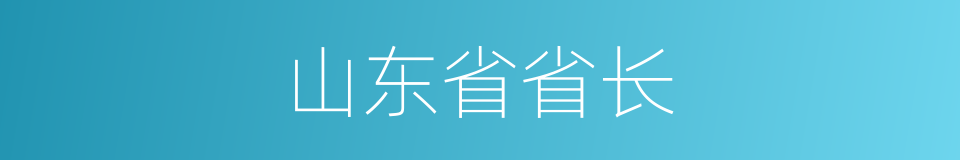 山东省省长的同义词