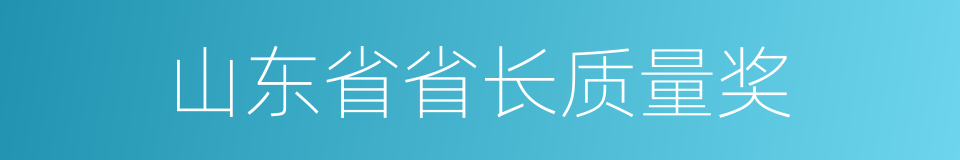 山东省省长质量奖的同义词