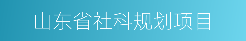 山东省社科规划项目的同义词