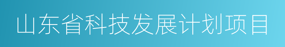 山东省科技发展计划项目的同义词