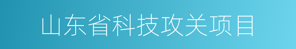 山东省科技攻关项目的同义词