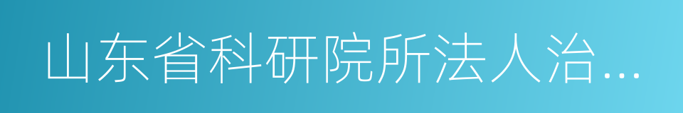 山东省科研院所法人治理结构建设实施方案的同义词