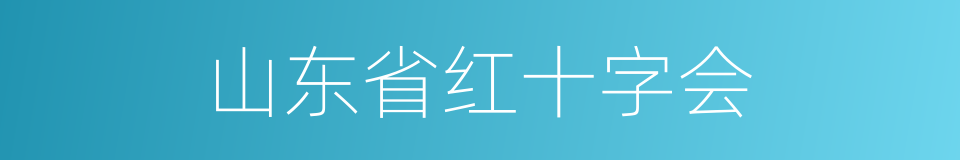 山东省红十字会的同义词