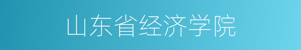 山东省经济学院的同义词