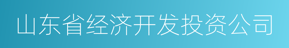 山东省经济开发投资公司的同义词