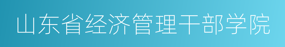 山东省经济管理干部学院的同义词