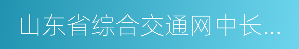 山东省综合交通网中长期发展规划的同义词