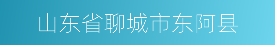 山东省聊城市东阿县的同义词