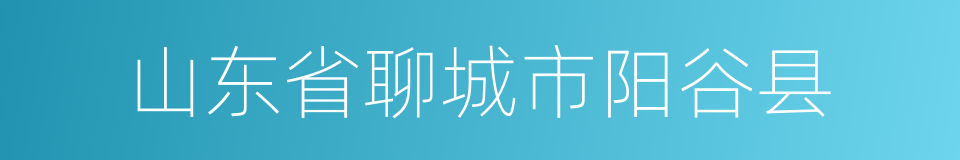 山东省聊城市阳谷县的同义词