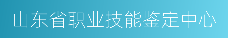 山东省职业技能鉴定中心的同义词