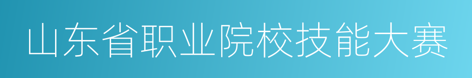 山东省职业院校技能大赛的同义词