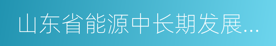 山东省能源中长期发展规划的同义词