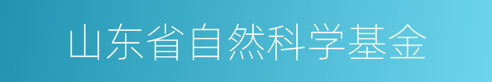 山东省自然科学基金的同义词