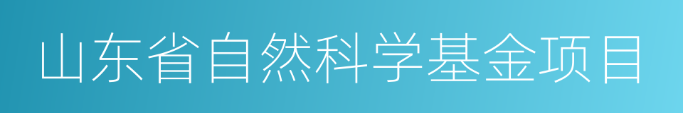 山东省自然科学基金项目的同义词