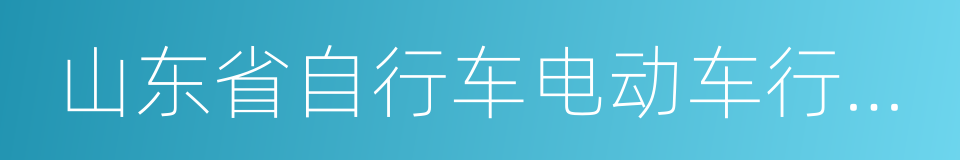 山东省自行车电动车行业协会的同义词