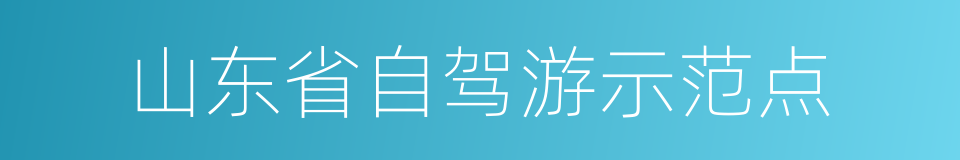 山东省自驾游示范点的同义词