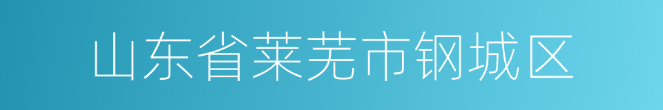 山东省莱芜市钢城区的同义词