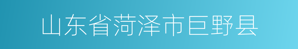 山东省菏泽市巨野县的同义词