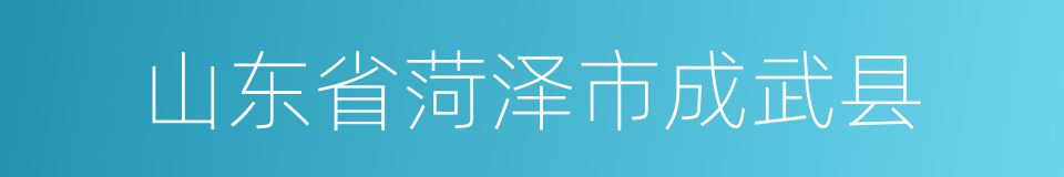 山东省菏泽市成武县的同义词