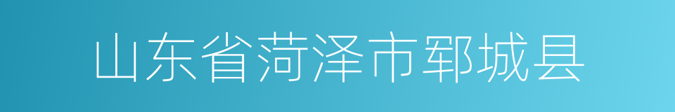 山东省菏泽市郓城县的同义词