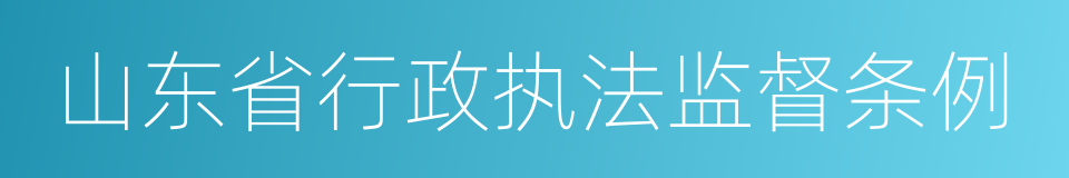 山东省行政执法监督条例的同义词