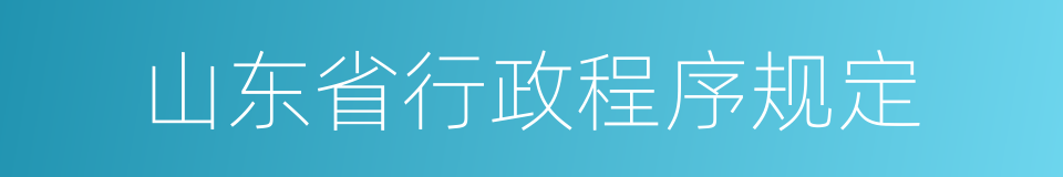 山东省行政程序规定的同义词