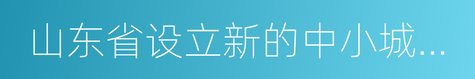 山东省设立新的中小城市试点方案的同义词