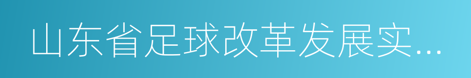 山东省足球改革发展实施方案的同义词