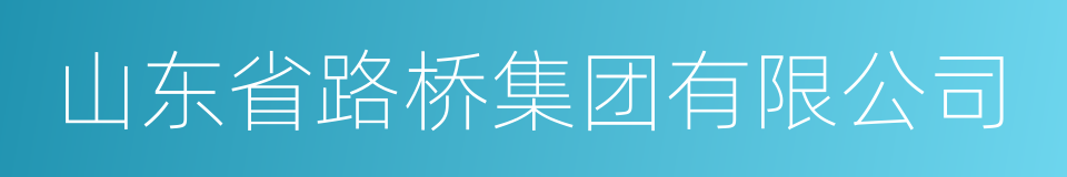 山东省路桥集团有限公司的同义词