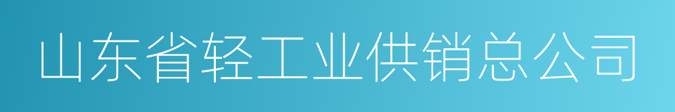 山东省轻工业供销总公司的同义词