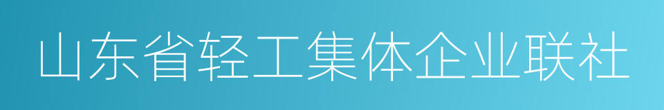 山东省轻工集体企业联社的同义词