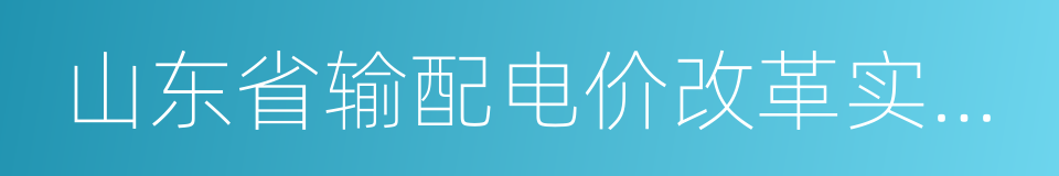 山东省输配电价改革实施方案的同义词