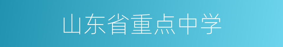山东省重点中学的同义词