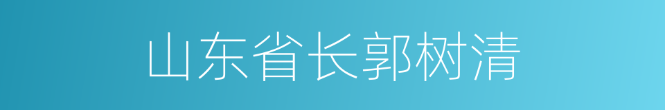 山东省长郭树清的同义词