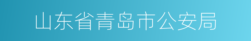 山东省青岛市公安局的同义词