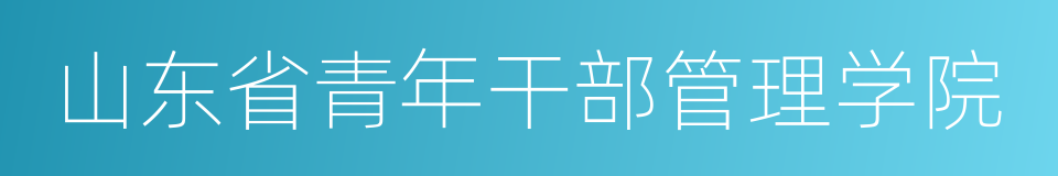 山东省青年干部管理学院的同义词