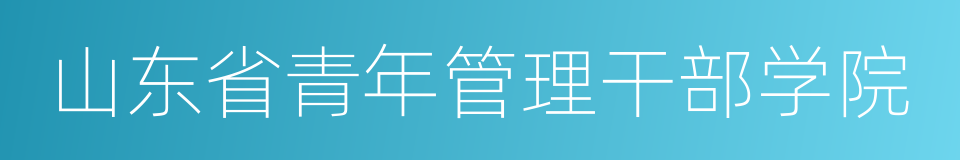 山东省青年管理干部学院的同义词